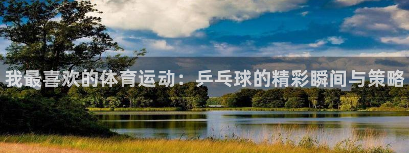 yy易游官方平台体育：我最喜欢的体育运动：乒乓球的精