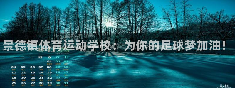yy易游官网下载平台注册：景德镇体育运动学校：为你的