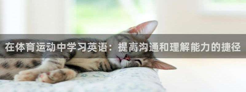 yy易游官网下载官方客服电话：在体育运动中学习英语：