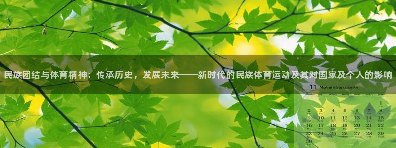 yy易游官网下载开户：民族团结与体育精神：传承历史，