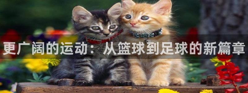 注册yy易游官方正版app：更广阔的运动：从篮球到足球的新篇