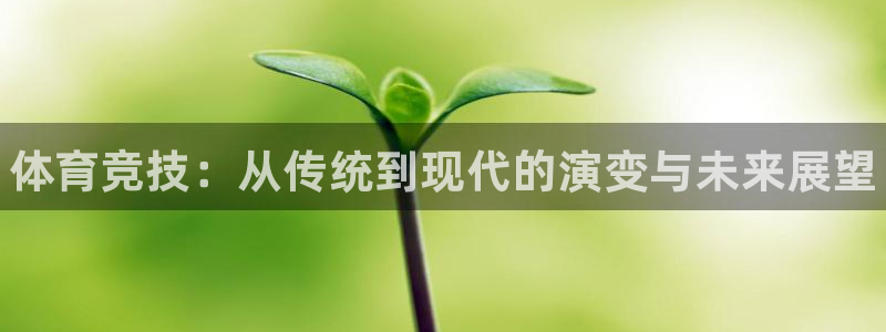 yy易游官网下载招商电话地址查询：体育竞技：从传统到