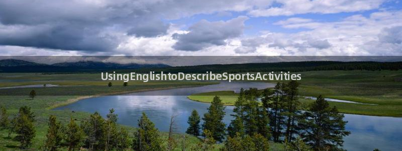 yy易游官方正版app集团：UsingEnglishtoDe