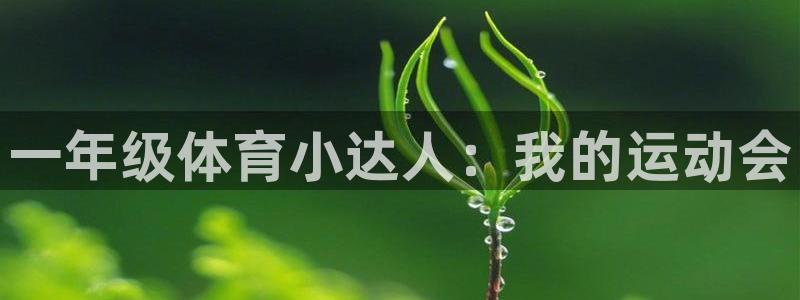 yy易游官方正版app娱乐平台：一年级体育小达人：我的运动会