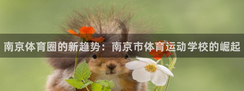 yy易游官方正版app娱乐40996：南京体育圈的新趋势：南