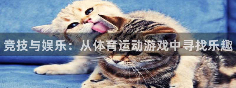 yy易游官网下载招商电话号码是多少号：竞技与娱乐：从体育运动