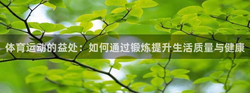 yy易游官方正版app代理：体育运动的益处：如何通过锻炼提升