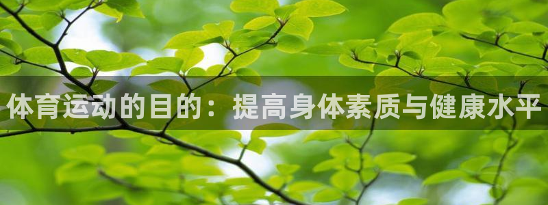 yy易游官方正版app集团