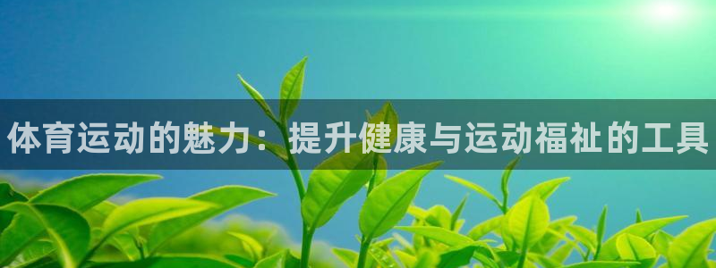 yy易游官方正版app娱乐代理怎么样：体育运动的魅力