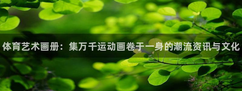 yy易游官方正版app集团E.ON：体育艺术画册：集