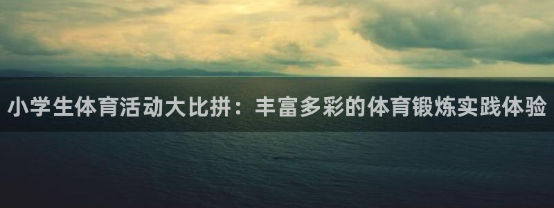 海南yy易游官网下载发展怎么样：小学生体育活动大比拼