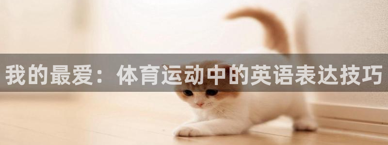 yy易游官方平台体育：我的最爱：体育运动中的英语表达