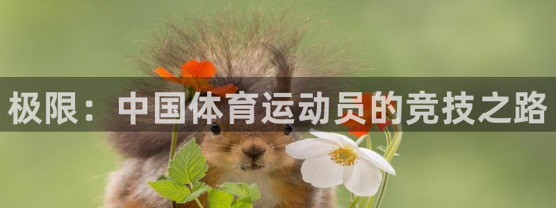 yy易游官方正版app开户：极限：中国体育运动员的竞