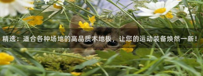 yy易游官网下载软件：精选：适合各种场地的高品质木地