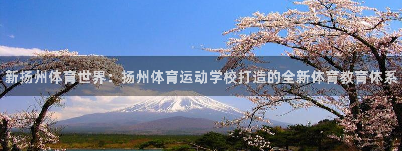 yy易游官方正版app娱乐40996：新扬州体育世界
