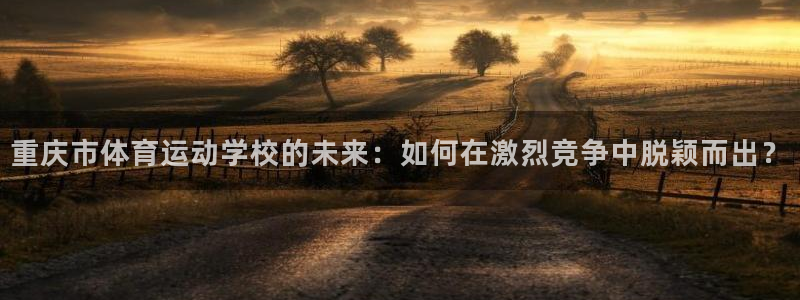 yy易游官方正版app神州：重庆市体育运动学校的未来