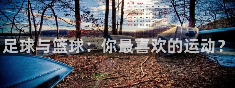 yy易游官网下载招商电话号码查询是多少：足球与篮球：