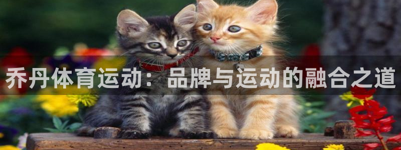 yy易游官网下载平台假的吗是真的吗吗：乔丹体育运动：