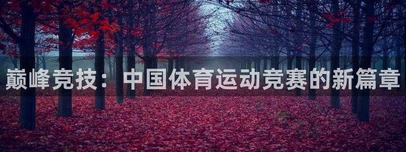 yy易游官方正版app集团：巅峰竞技：中国体育运动竞