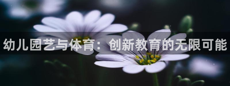 yy易游官方正版app娱乐40996：幼儿园艺与体育：创新教