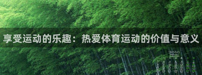 yy易游官网下载是干嘛的公司：享受运动的乐趣：热爱体育运动的