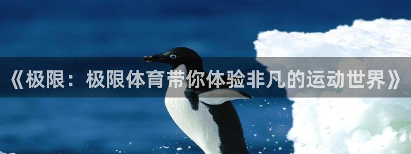 yy易游官网下载招商电话：《极限：极限体育带你体验非凡的运动