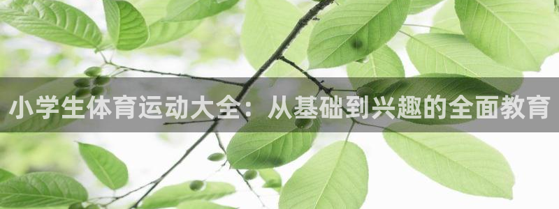 yy易游官方正版app新能源：小学生体育运动大全：从