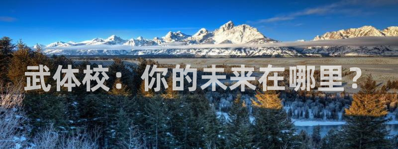 yy易游官网下载软件：武体校：你的未来在哪里？