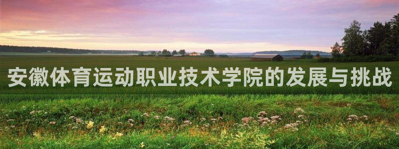 yy易游官网下载注册：安徽体育运动职业技术学院的发展