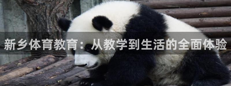 yy易游官网下载招商电话是多少啊：新乡体育教育：从教学到生活