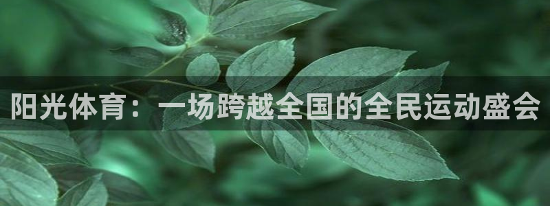 yy易游体育电竞登录不上去怎么办：阳