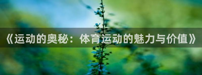 yy易游体育是正规的吗安全吗可靠吗：