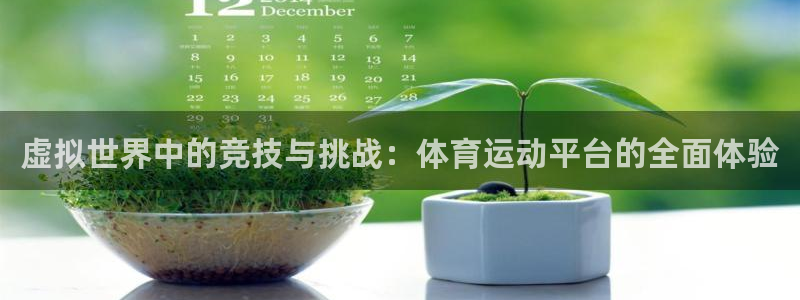 yy易游app最新版本更新内容分享：虚拟世界中的竞技与挑战：