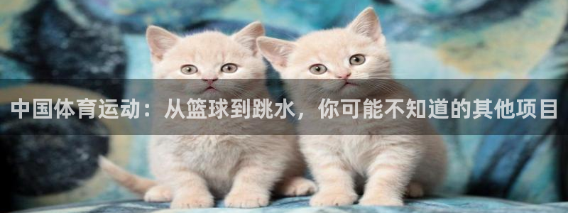 yy易游体育是正规的吗安全吗知乎：中