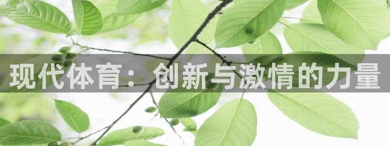 yy易游体育平台能提现吗是真的吗：现