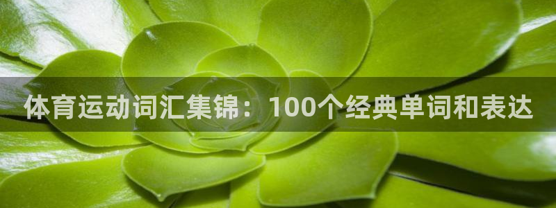 YY易游体育app最新版本更新内容：体育运动词汇集锦：100