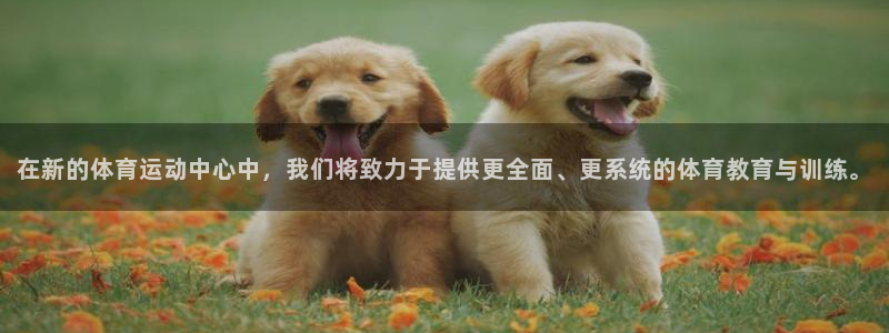  yy易游体育贴吧：在新的体育运动中心中，我们将致力于提供更全