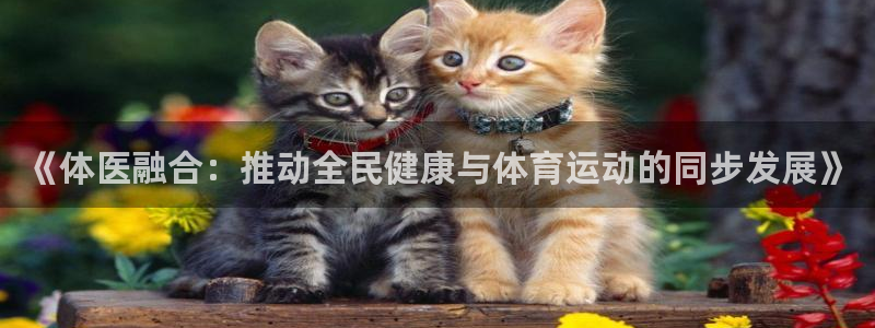 yy易游体育电竞登录不上去怎么办：《