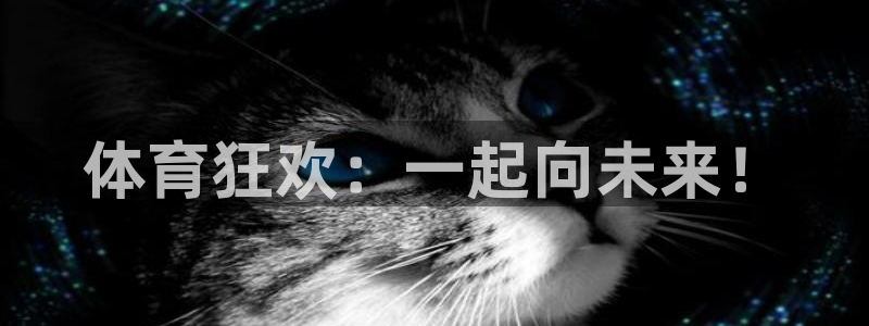 yy易游体育还能撑几年：体育狂欢：一