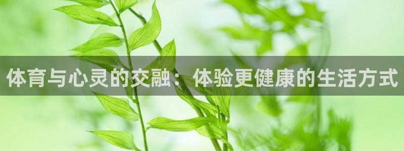  yy易游体育是正规的吗安全吗：体育与心灵的交融：体验更健康的