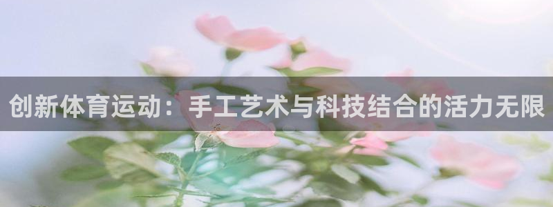yy易游体育平台：创新体育运动：手工