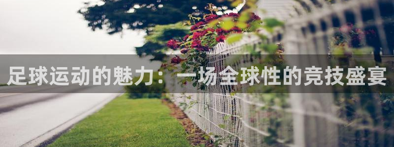 yy易游体育app最新版本更新内容是什么